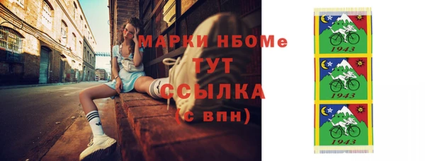 индика Горно-Алтайск