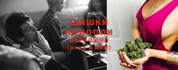 бошки Горняк