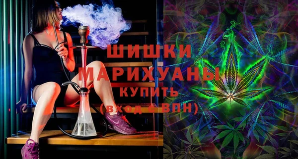 бошки Горняк