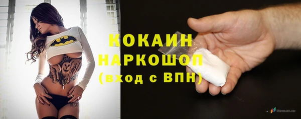 индика Горно-Алтайск