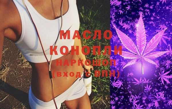 индика Горно-Алтайск