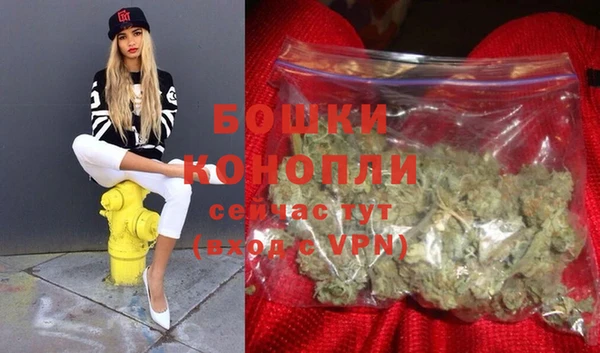 бошки Горняк