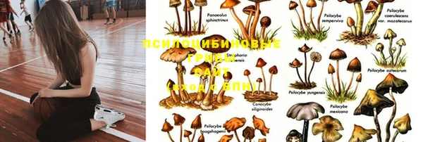 мяу мяу мука Горнозаводск